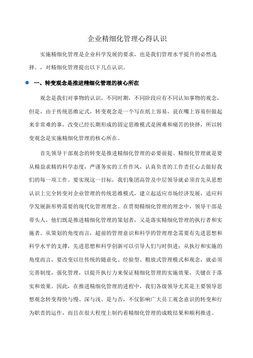 企业精细化管理心得认识(心得体会)