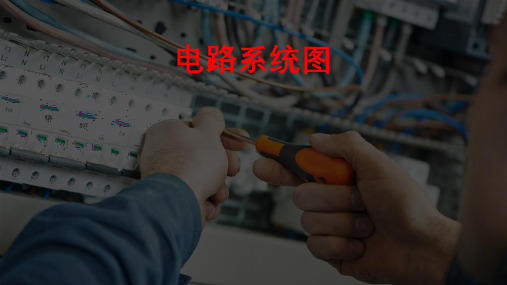 电路系统图