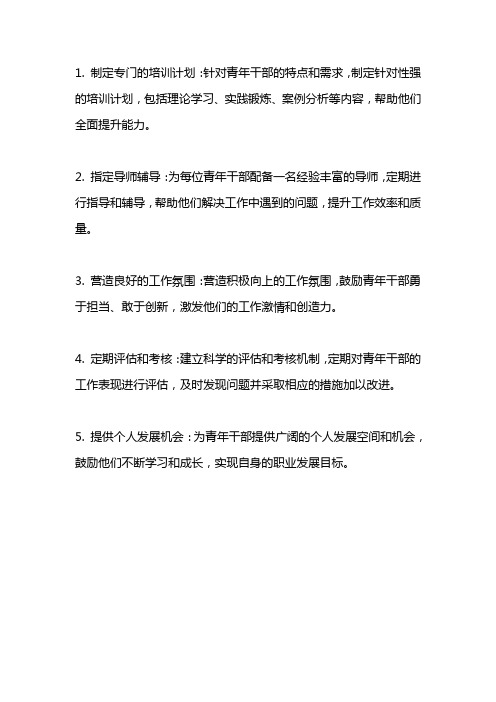 加强青年干部成长成才的落实措施