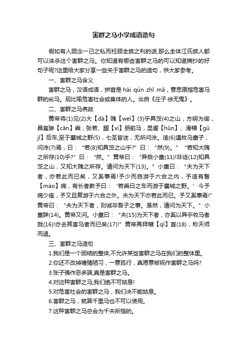 害群之马小学成语造句