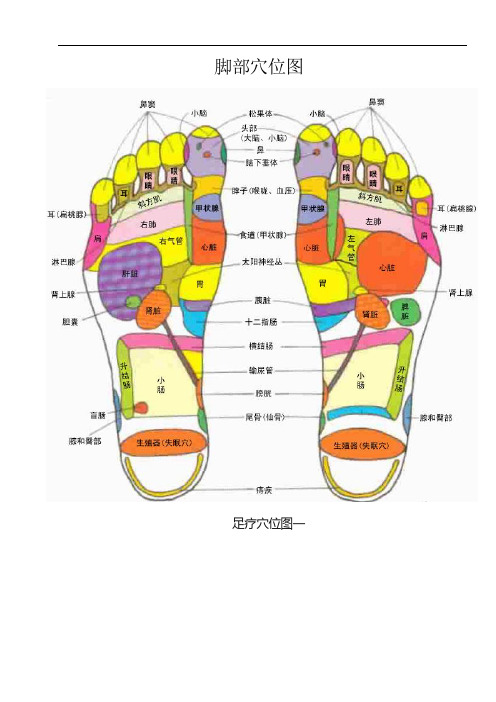 脚部穴位图全面(图文)