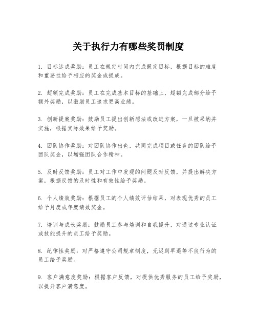 关于执行力有哪些奖罚制度