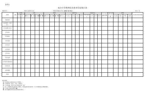 民办小学教师队伍基本信息统计表