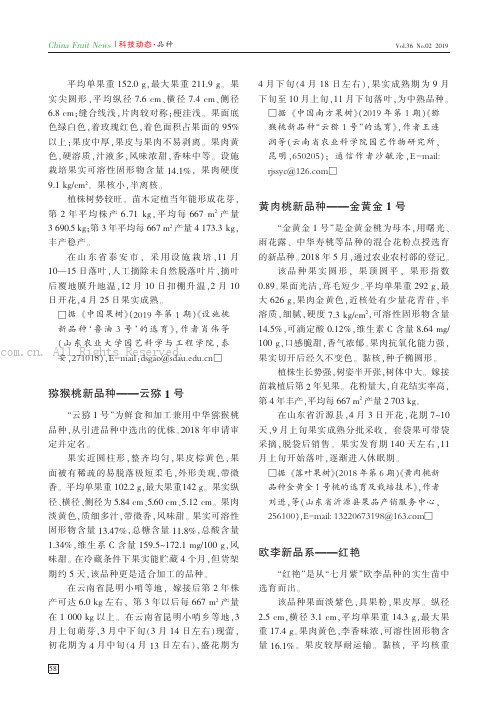 黄肉桃新品种——金黄金1号