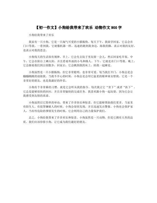 【初一作文】小狗给我带来了欢乐 动物作文900字