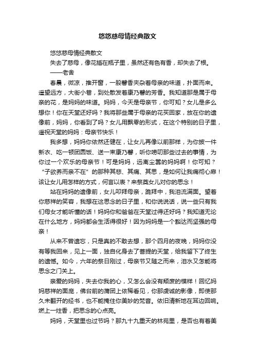 悠悠慈母情经典散文