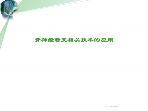 脊神经后支相关技术的应用课件