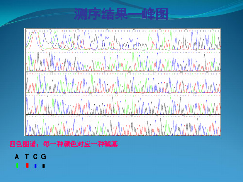 DNA测序分析常见问题整理