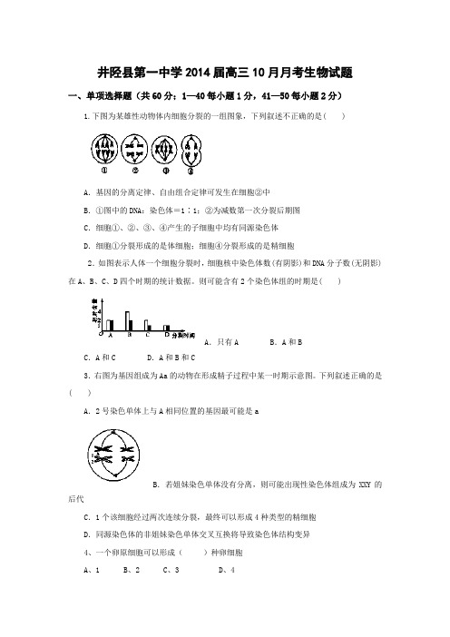 河北省井陉县第一中学2014届高三10月月考生物试题 Word版含答案