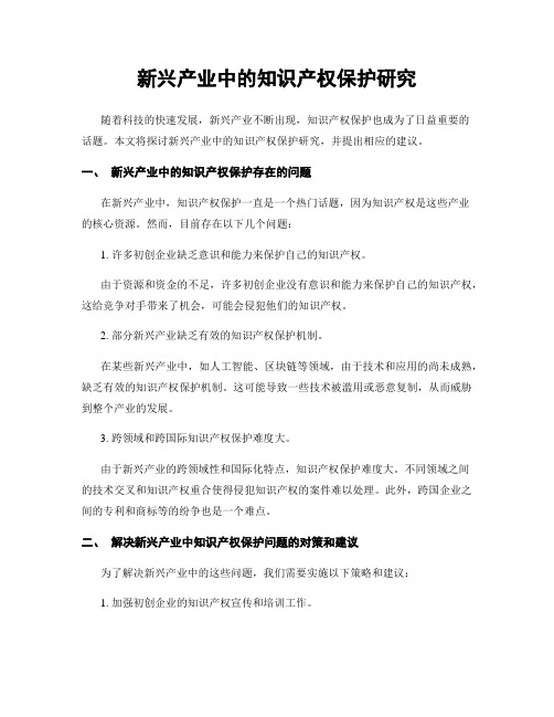 新兴产业中的知识产权保护研究