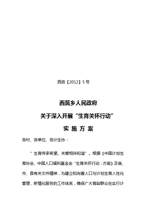 生育关怀行动实施方案