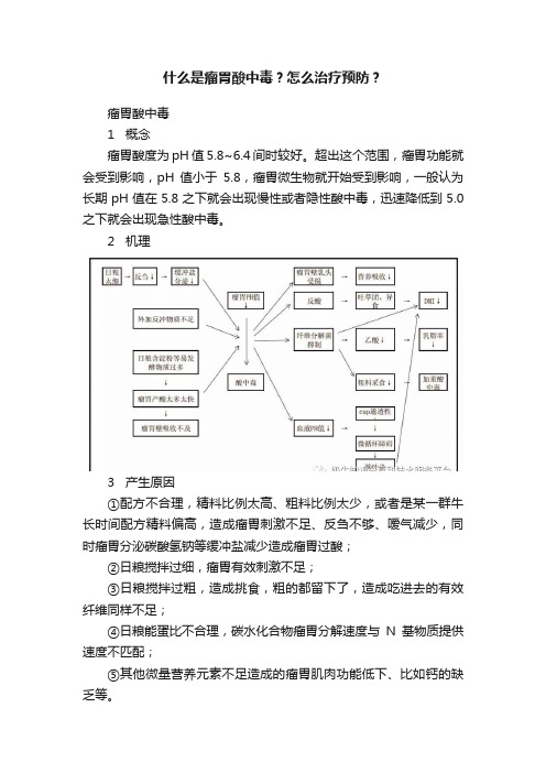 什么是瘤胃酸中毒？怎么治疗预防？