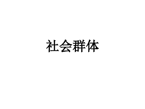 社会学课件社会群体