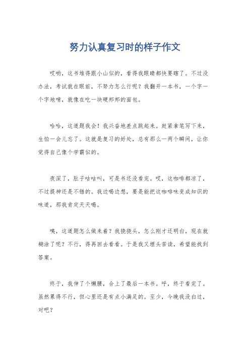 努力认真复习时的样子作文