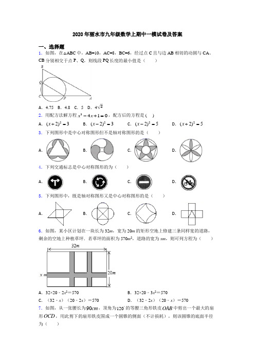 2020年丽水市九年级数学上期中一模试卷及答案