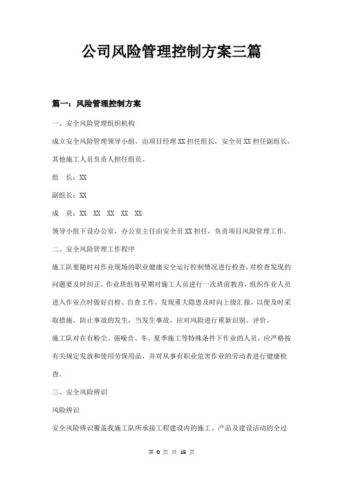 公司风险管理控制方案三篇