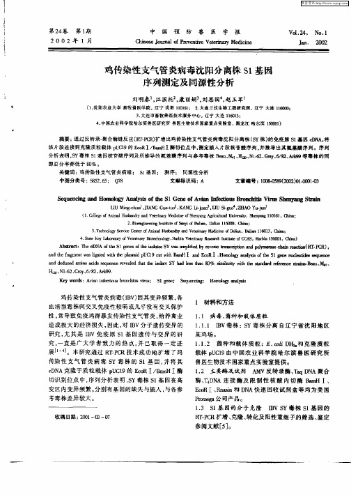 鸡传染性支气管炎病毒沈阳分离株S1基因序列测定及同源性分析