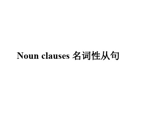 高三英语复习课件：名词性从句(共22张PPT)