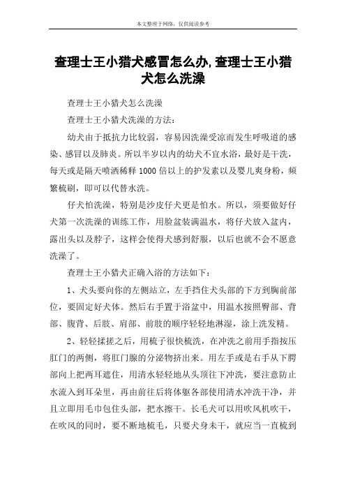 查理士王小猎犬感冒怎么办,查理士王小猎犬怎么洗澡