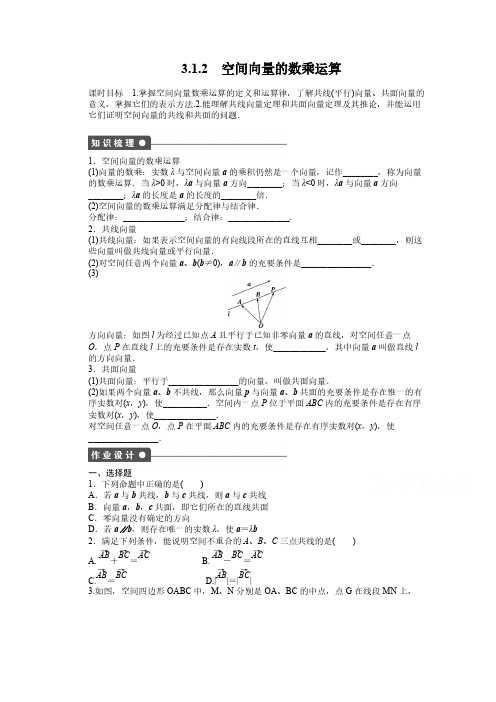 高中数学(人教版A版选修2-1)配套课时作业：第三章  空间向量与立体几何 3.1.2