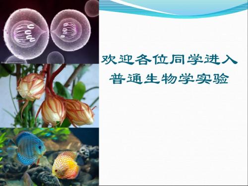 实验一显微镜的使用和生物绘图