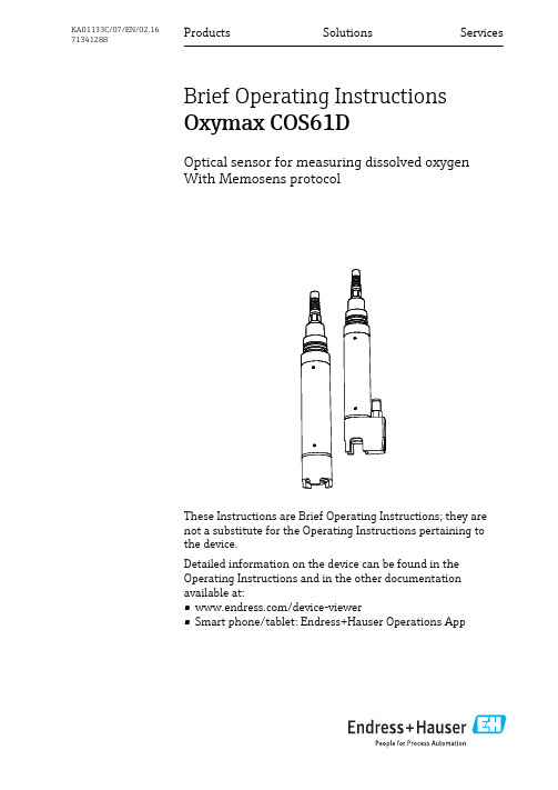 Endress+Hauser Oxymax COS61D 产品说明说明书