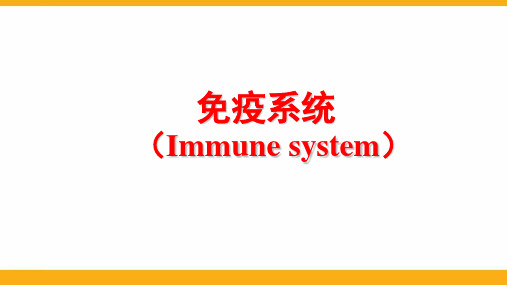 高中生物《免疫系统》最新PPT课件