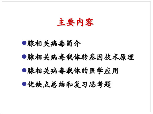 病毒转基因技术原理  腺相关病毒