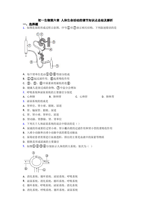 初一生物第六章 人体生命活动的调节知识点总结及解析