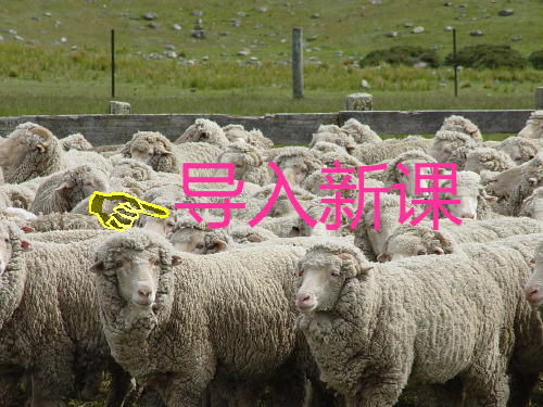 课件:西部开发的重要阵地——新疆维吾尔自治区