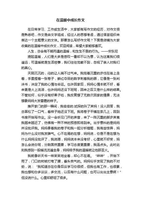 在温暖中成长作文