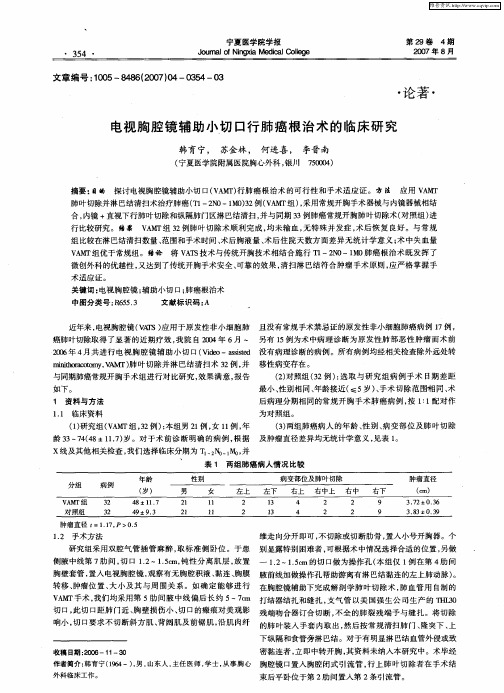 电视胸腔镜辅助小切口行肺癌根治术的临床研究