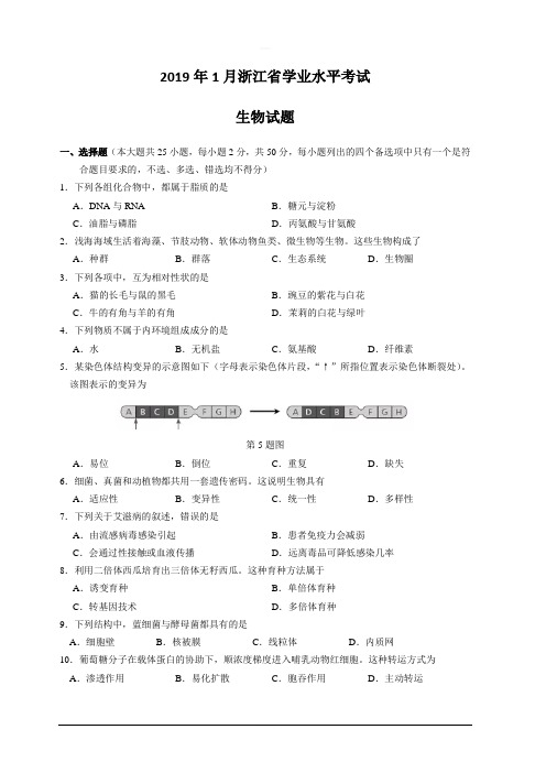 2019年1月浙江省普通高校招生学考科目考试生物试题含答案