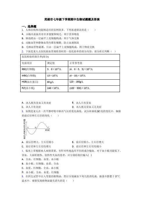 芜湖市七年级下学期期中生物试题题及答案