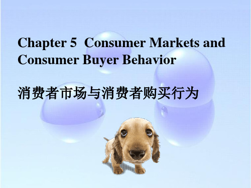 chapter5 Consumer Markets and Consumer Buyer Behavior