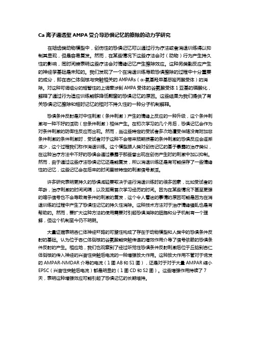 Ca离子通透型AMPA受介导恐惧记忆的擦除的动力学研究