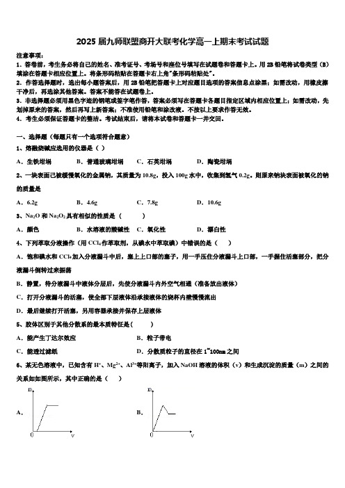 2025届九师联盟商开大联考化学高一上期末考试试题含解析