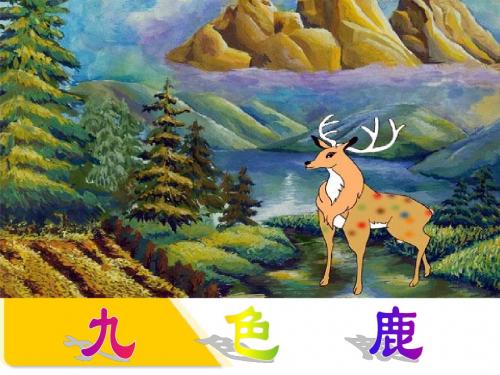 北师大版小学五年级下册语文《九色鹿》课件PPT