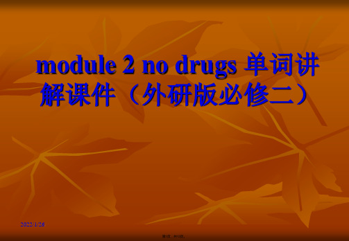 module-2-no-drugs-单词讲解课件(外研版必修二)