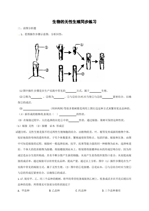 苏教版-生物-八年级下册-21.1生物的无性生殖 习题