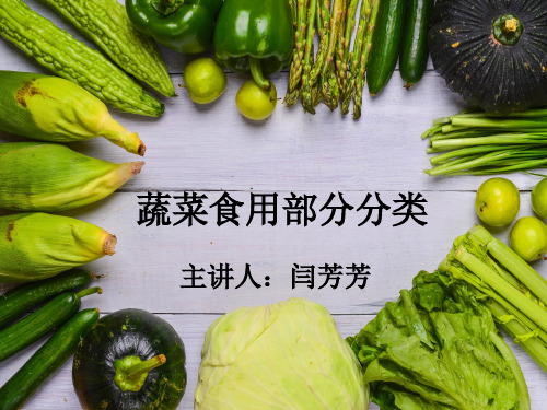 蔬菜食用部分分类ppt课件