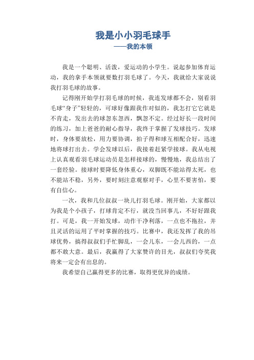 我是小小羽毛球手_我的本领