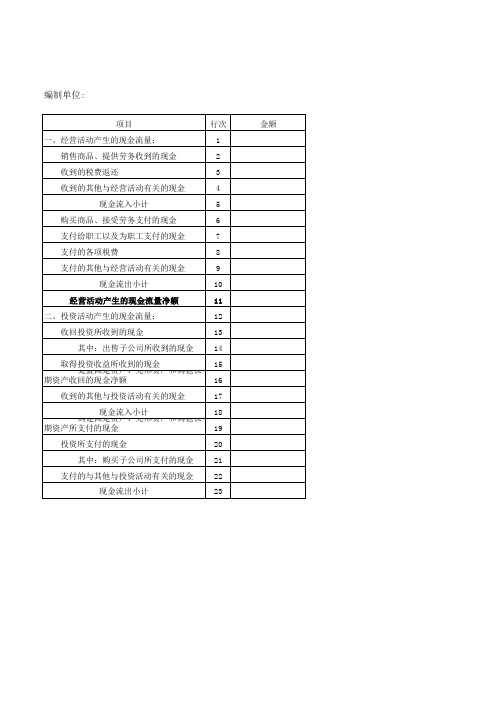 现金流量表模板