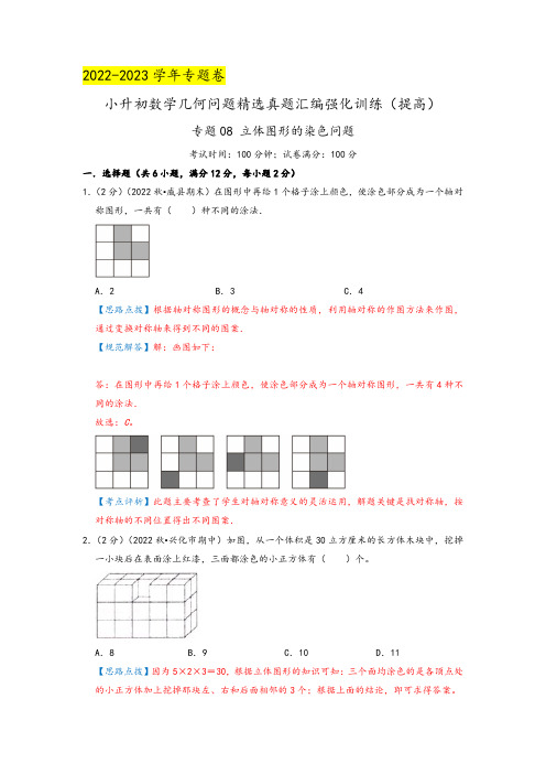 专题08《立体图形的染色问题》(解析)