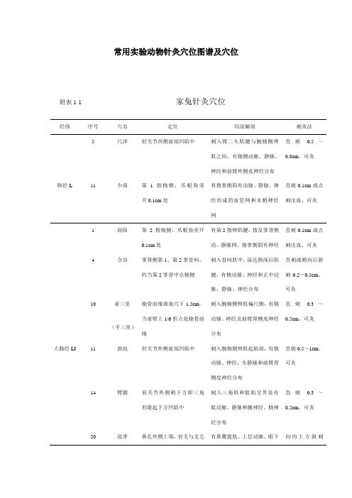 常用实验动物针灸穴位