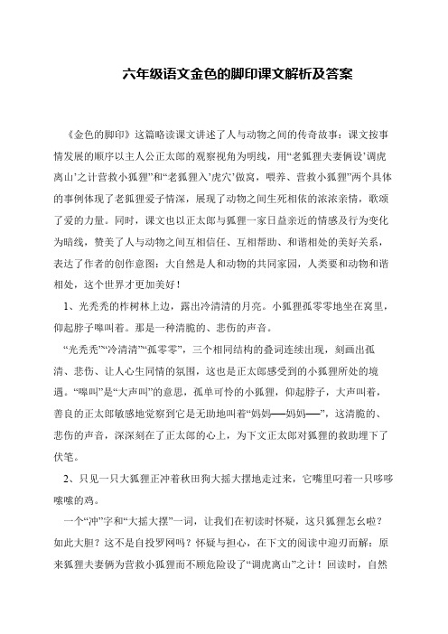 六年级语文金色的脚印课文解析及答案