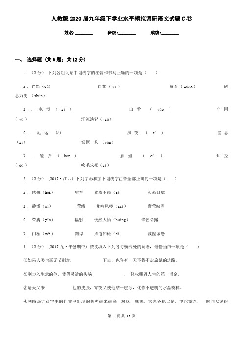 人教版2020届九年级下学业水平模拟调研语文试题C卷