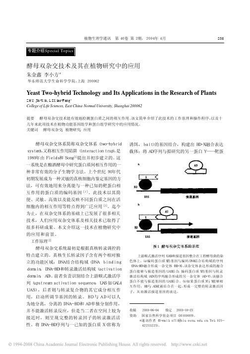 酵母双杂交技术及其在植物研究中的应用