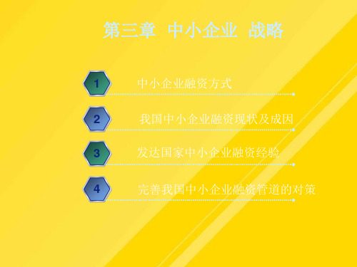 【优选】中小企业战略管理第三章PPT文档