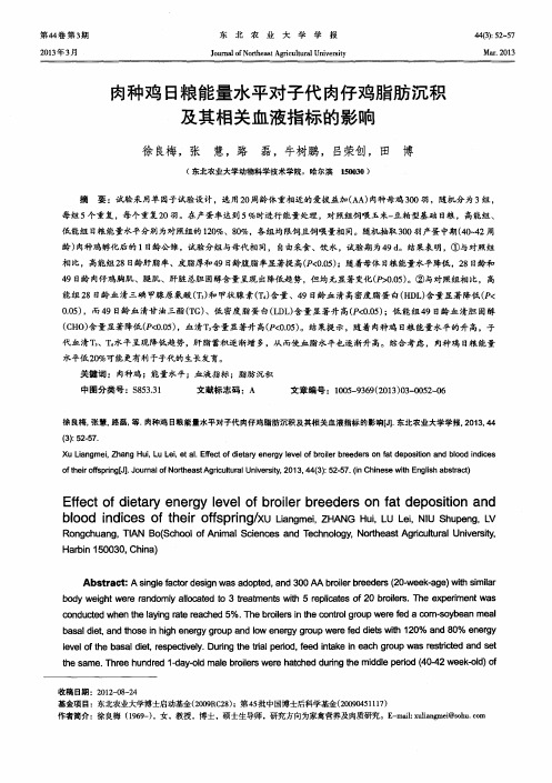 肉种鸡日粮能量水平对子代肉仔鸡脂肪沉积及其相关血液指标的影响